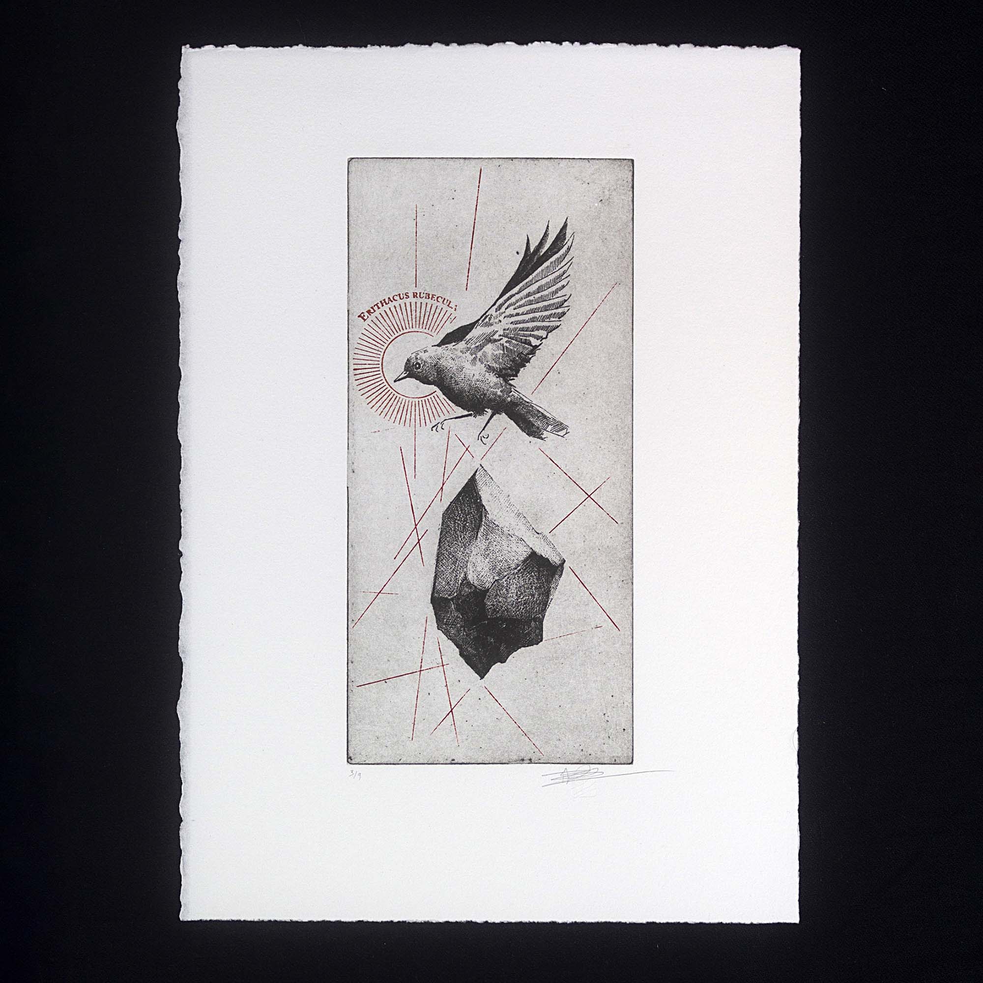 Gravure originale d'un rouge-gorge en plein vol, avec une pierre et des lignes rouges, encadrée en noir