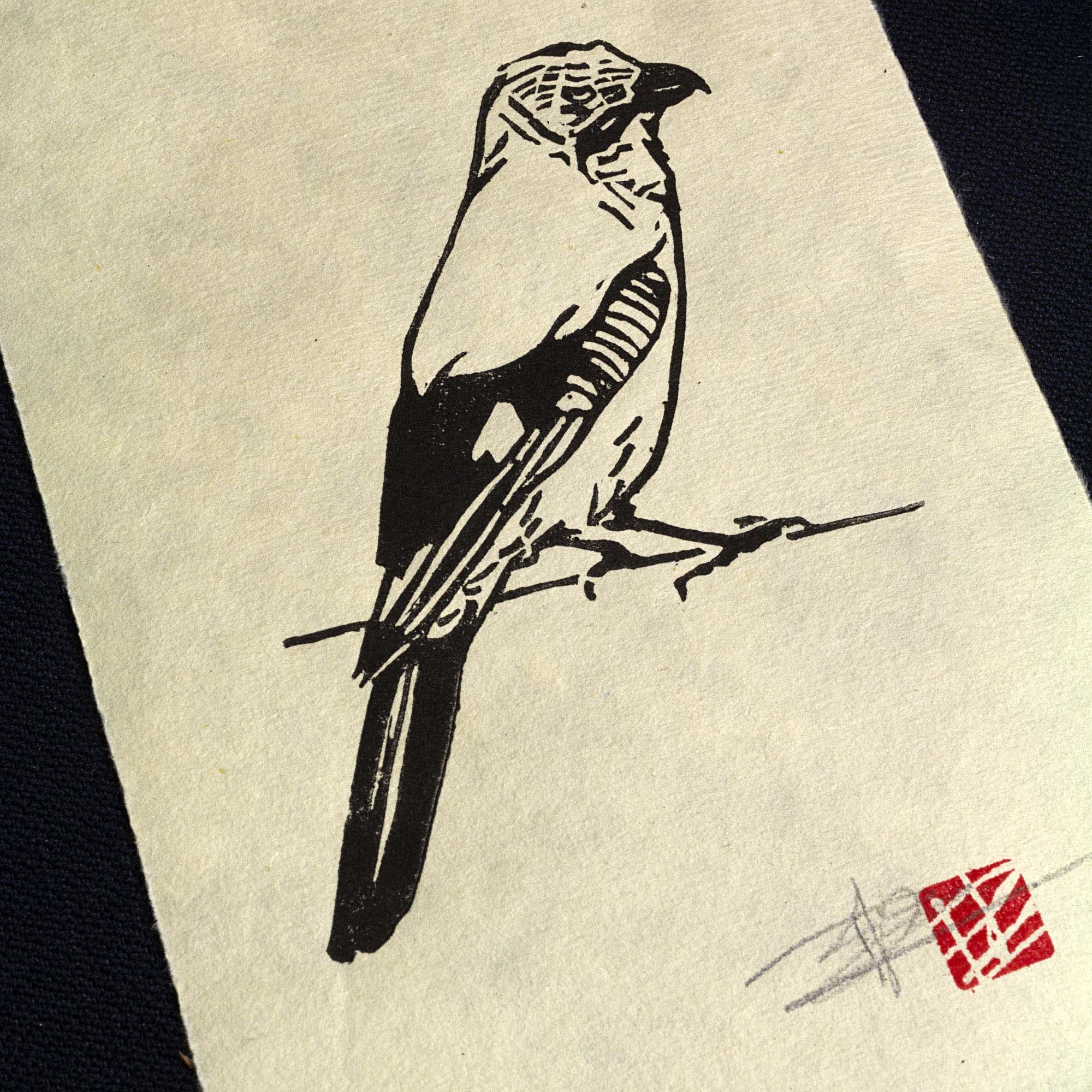 Linogravure en noir et blanc d'un geai des chênes posé de profil sur une fine branche. L'œuvre est imprimée sur un papier artisanal beige texturé aux bords frangés, signée au crayon et marquée d'un sceau rouge de style asiatique en bas à droite.
