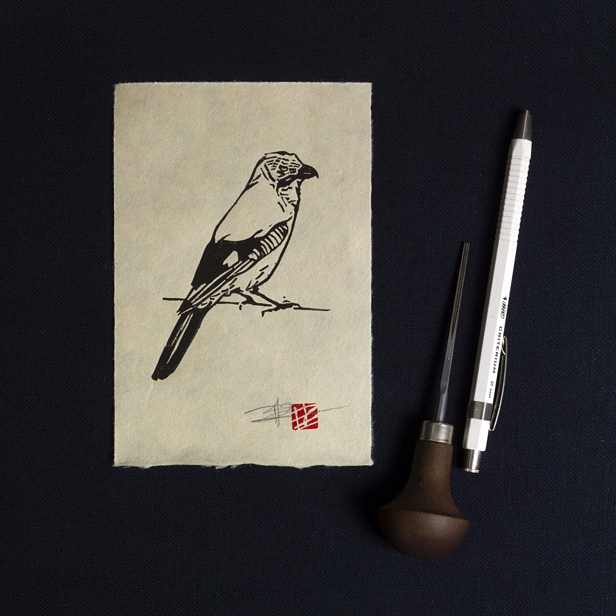 Linogravure en noir et blanc d'un geai des chênes posé de profil sur une fine branche. L'œuvre est imprimée sur un papier artisanal beige texturé aux bords frangés, signée au crayon et marquée d'un sceau rouge de style asiatique en bas à droite.