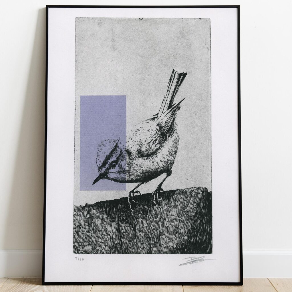 Gravure originale The Firecrest par Clément Scarpi, estampe contemporaine roitelet huppé noir et blanc avec touche géométrique violette.