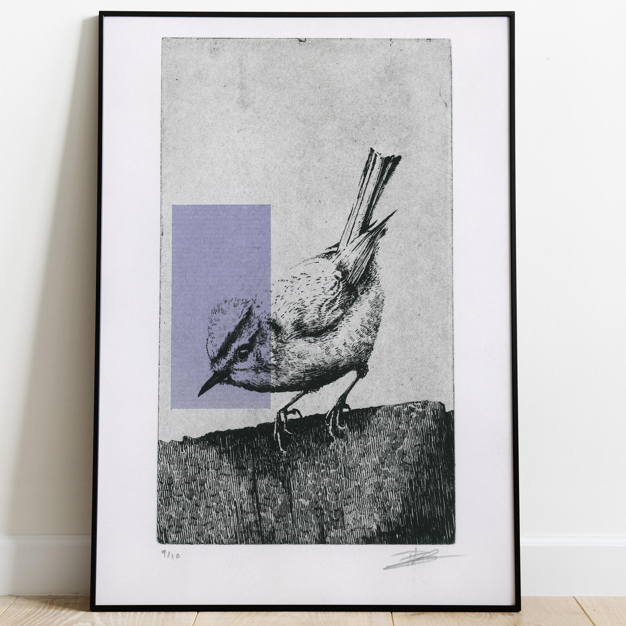 Gravure originale The Firecrest par Clément Scarpi, estampe contemporaine roitelet huppé noir et blanc avec touche géométrique violette.