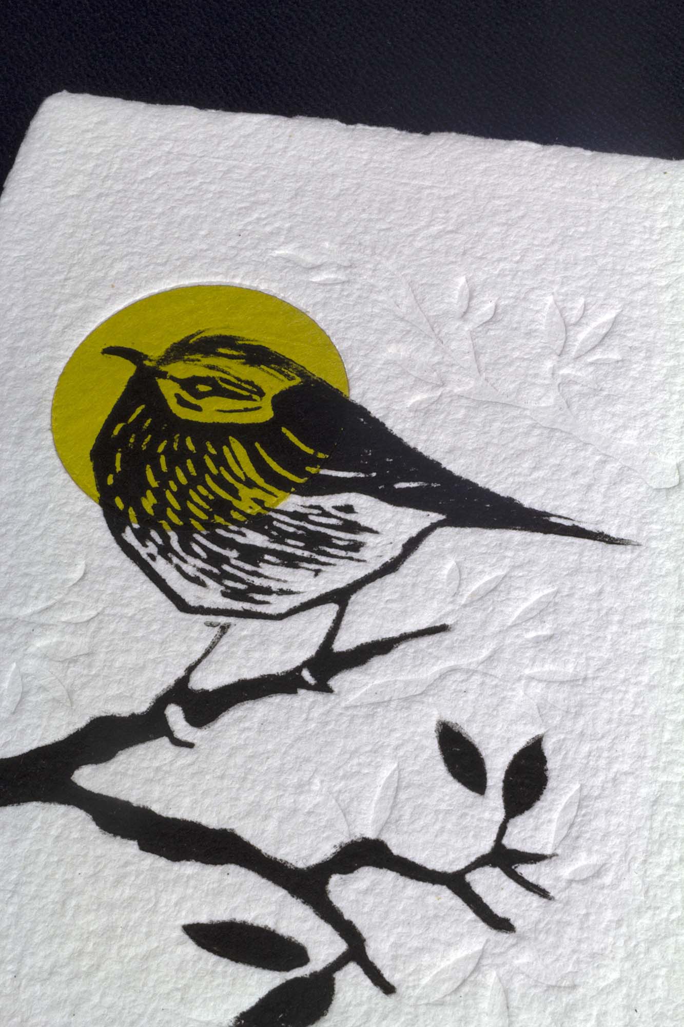 Gravure "Golden Crown Kinglet" sur papier d'art blanc épais et texturé à bords frangés, présentée dans un cadre noir texturé, posée sur un parquet en bois clair contre un mur blanc.
