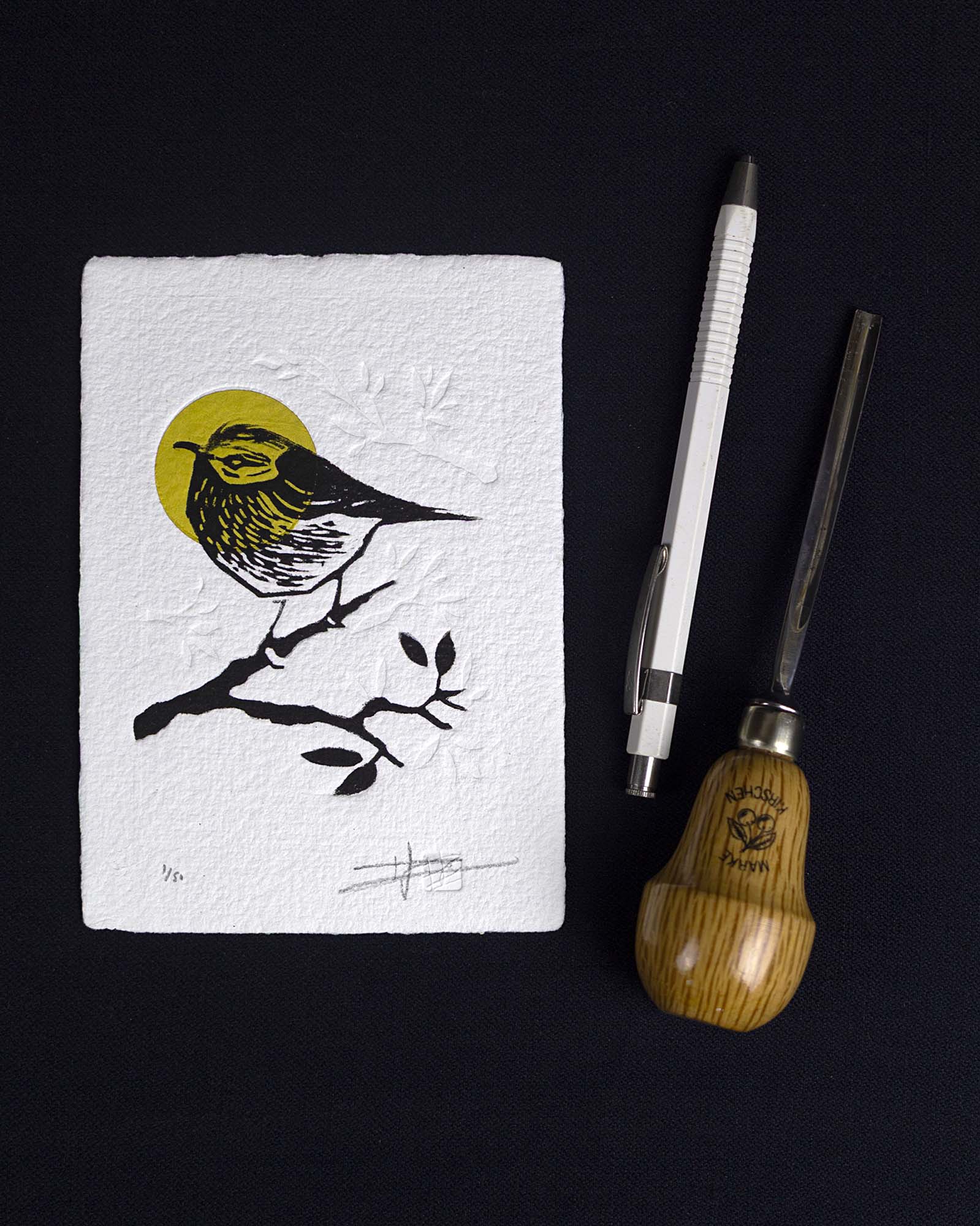 Gravure "Golden Crown Kinglet" sur papier d'art blanc épais et texturé à bords frangés, présentée dans un cadre noir texturé, posée sur un parquet en bois clair contre un mur blanc.
