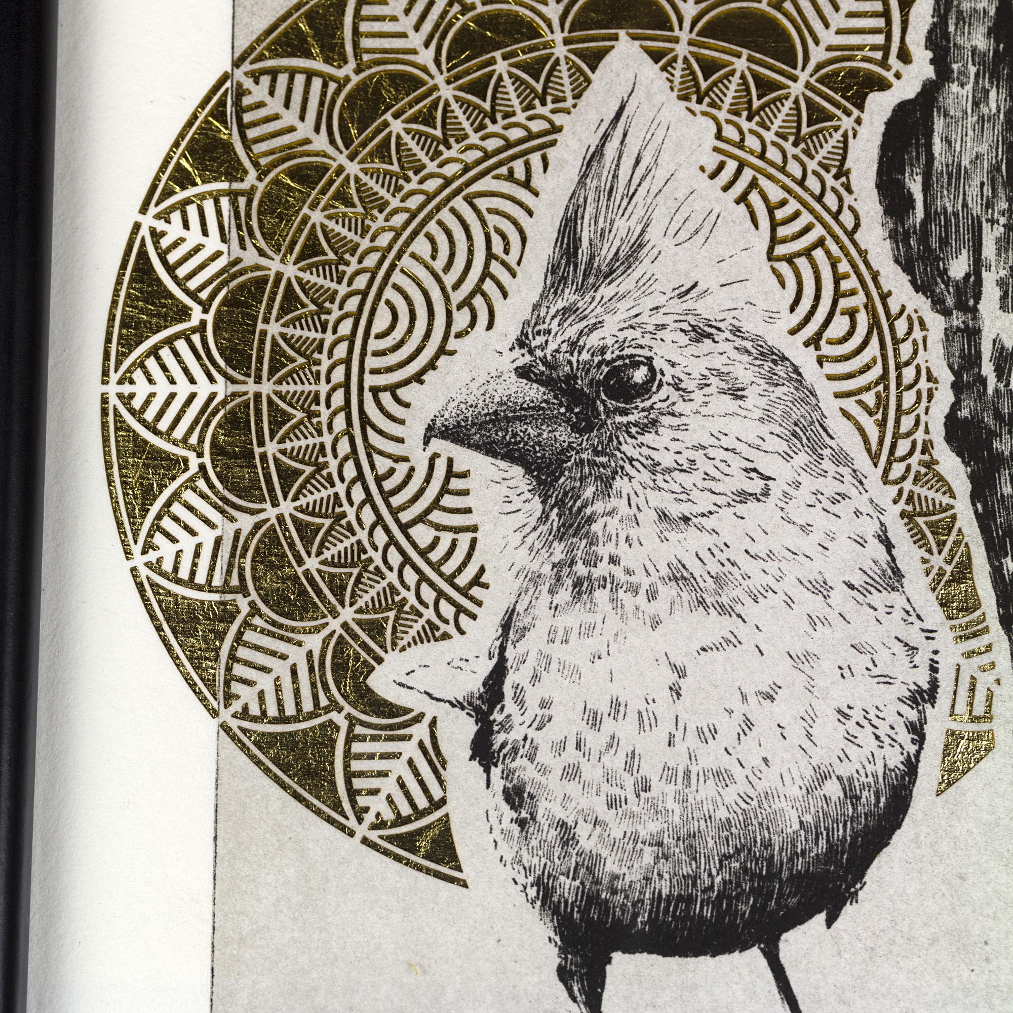 Gravure originale Golden Northern Cardinal par Clément Scarpi, estampe d'oiseau noire et blanche avec détails dorés éclatants.