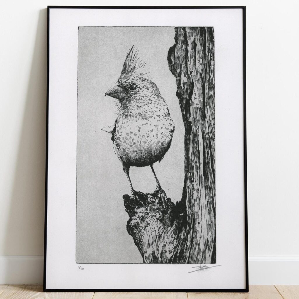 Gravure originale The Northern Cardinal par Clément Scarpi, estampe noire et blanche d'oiseau au style naturaliste.