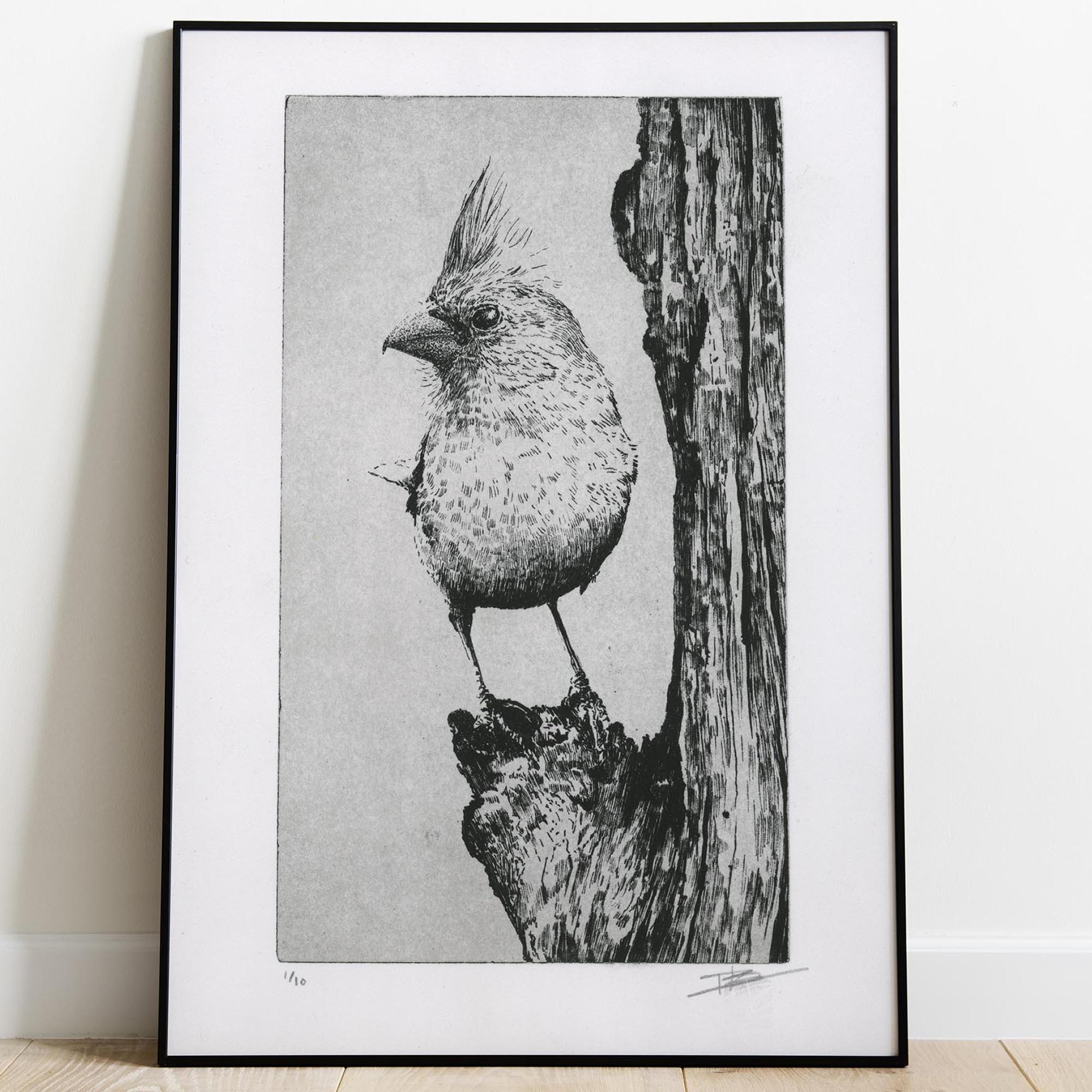 Gravure originale The Northern Cardinal par Clément Scarpi, estampe noire et blanche d'oiseau au style naturaliste.