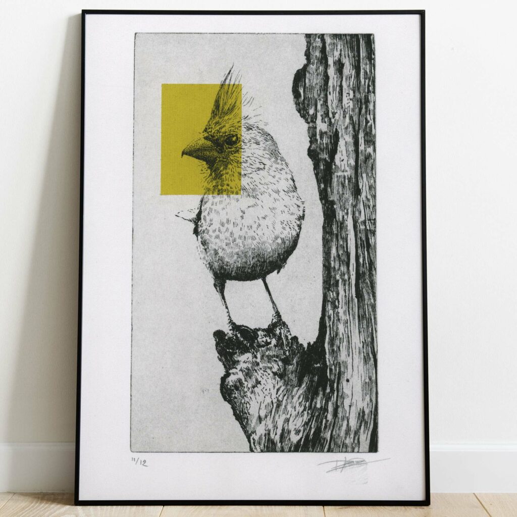 Gravure animalière "Northern cardinal" en noir et blanc avec un carré graphique jaune sur la tête, imprimée sur papier d'art à bords irréguliers.