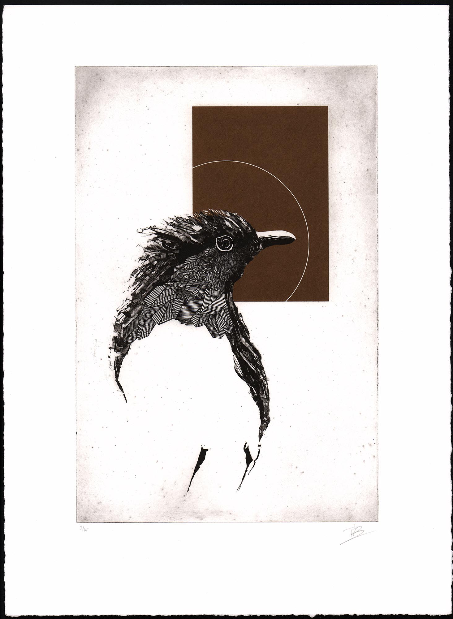 Gravure originale intitulée The Red Robin par l'artiste Clément Scarpi, représentant de profil le buste stylisé d'un oiseau noir aux plumes texturées, surmonté d'un rectangle marron brique et d'une fine ligne circulaire blanche, présentée sous cadre noir.