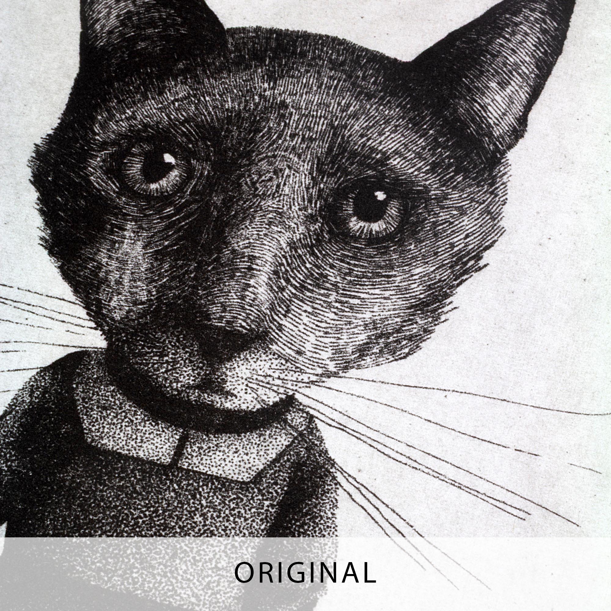Gravure originale à l'eau-forte « Le Chat » par Clément Scarpi. Illustration surréaliste en noir et blanc d'un personnage anthropomorphe à tête de chat portant une robe et tenant une souris. Tirage d'art limité et signé, présenté dans un cadre noir moderne.