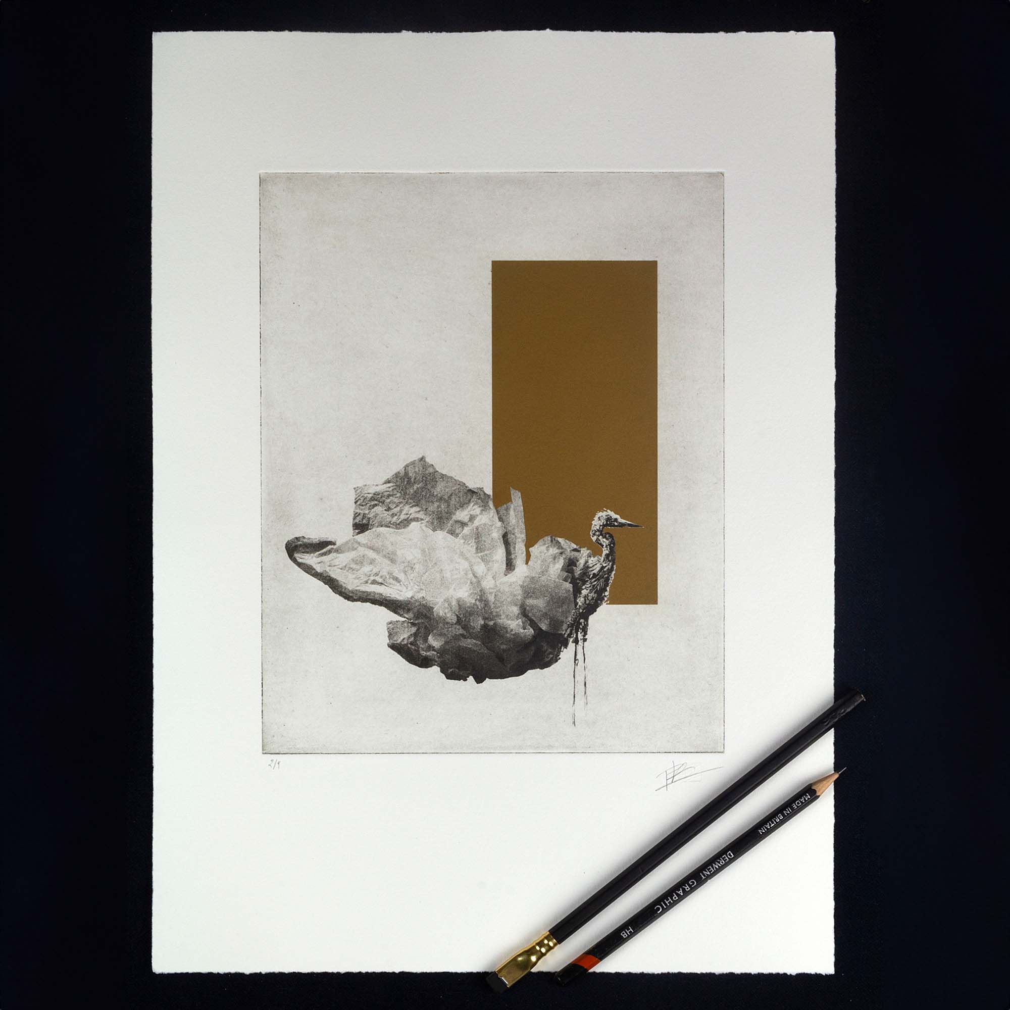 Gravure originale en édition limitée « The Crane (la grue) » par l'artiste Clément Scarpi. Estampe contemporaine représentant une grue émergeant d'une forme minérale, surmontée d'un rectangle marron terre de Sienne. Œuvre signée présentée dans un cadre noir.