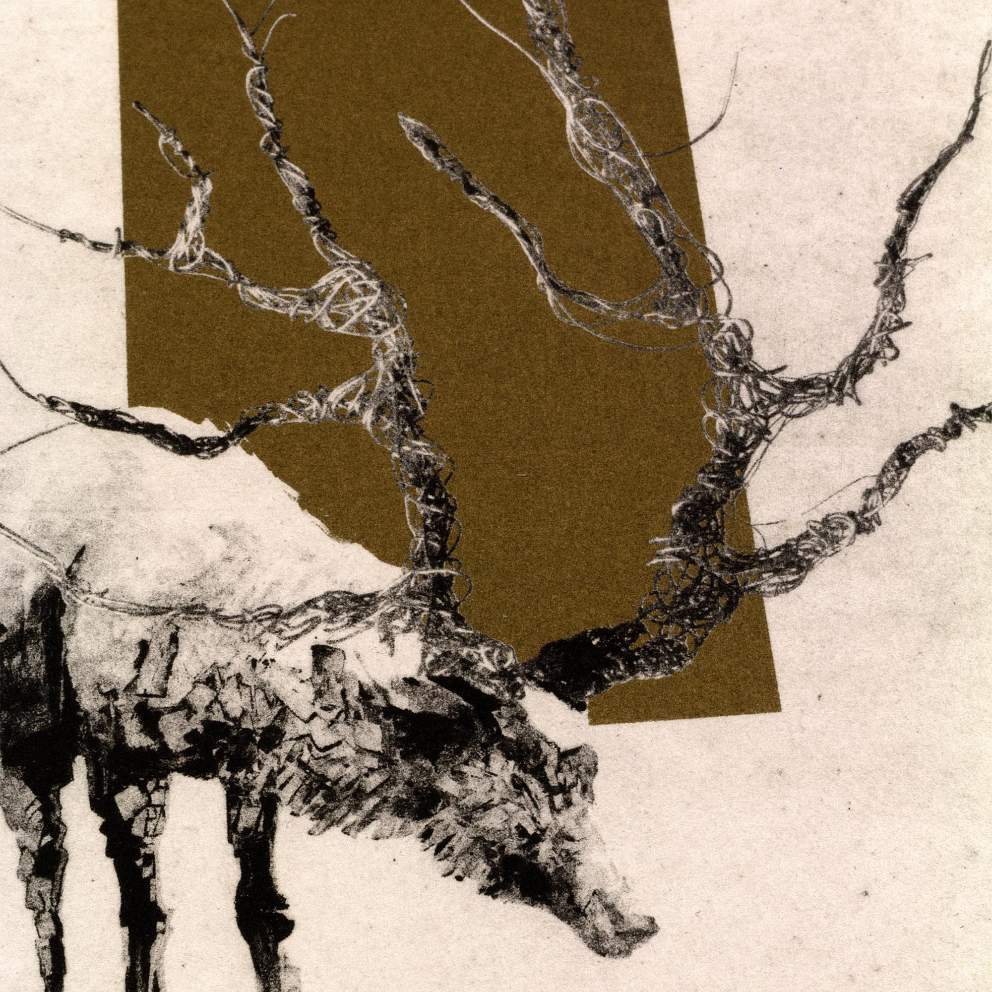 Gravure originale d'art contemporain The Deer de Clément Scarpi. Estampe d'art représentant un cerf aux bois texturés semblables à des branches d'arbres, superposé sur un rectangle vertical or, imprimée sur papier d'art blanc à bords frangés avec signature, sceau rouge et numérotation d'arti