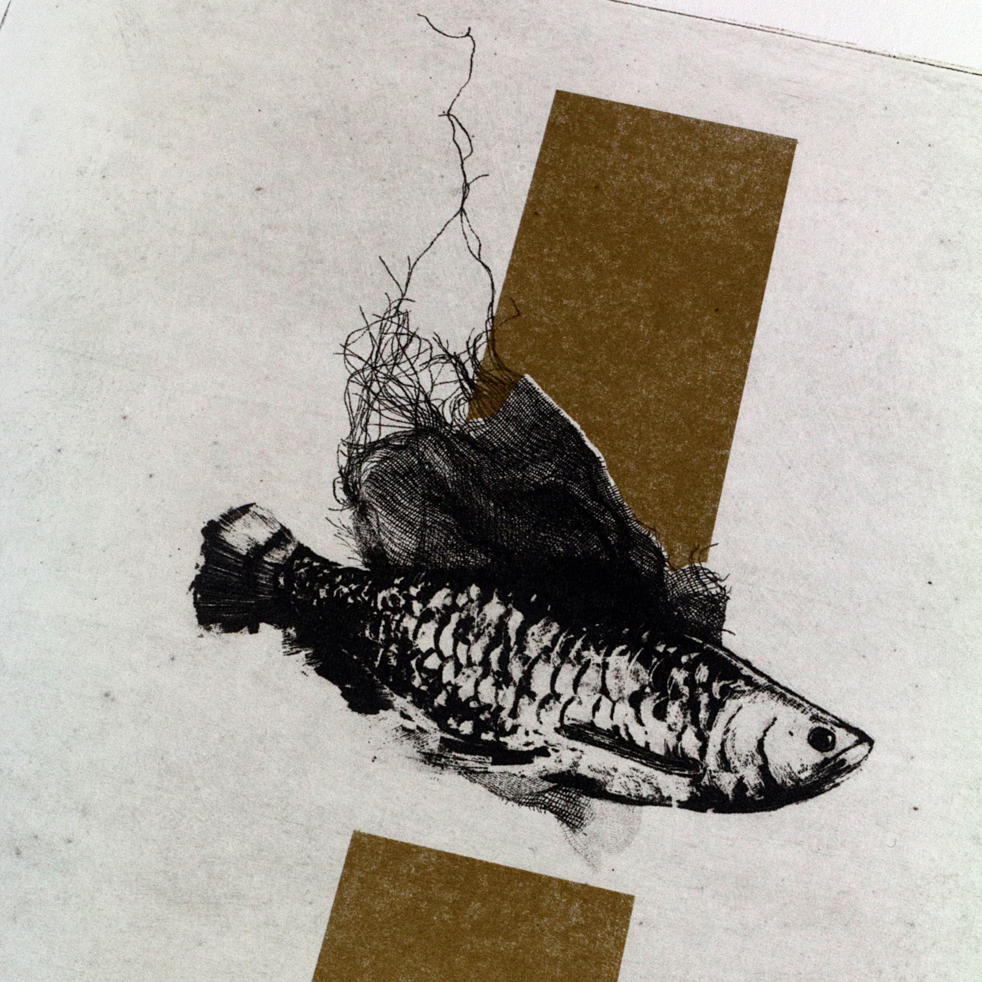 Gravure originale d'art contemporain The Fish de Clément Scarpi. Estampe d'art en noir et blanc représentant un poisson détaillé pris dans un filet, superposé sur deux rectangles dorés en arrière-plan (technique du chine-collé ou feuille d'or), présentée dans un cadre noir élégant.