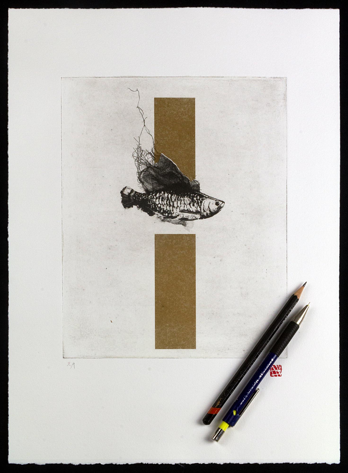 Gravure originale d'art contemporain The Fish de Clément Scarpi. Estampe d'art en noir et blanc représentant un poisson détaillé pris dans un filet, superposé sur deux rectangles dorés en arrière-plan (technique du chine-collé ou feuille d'or), présentée dans un cadre noir élégant.