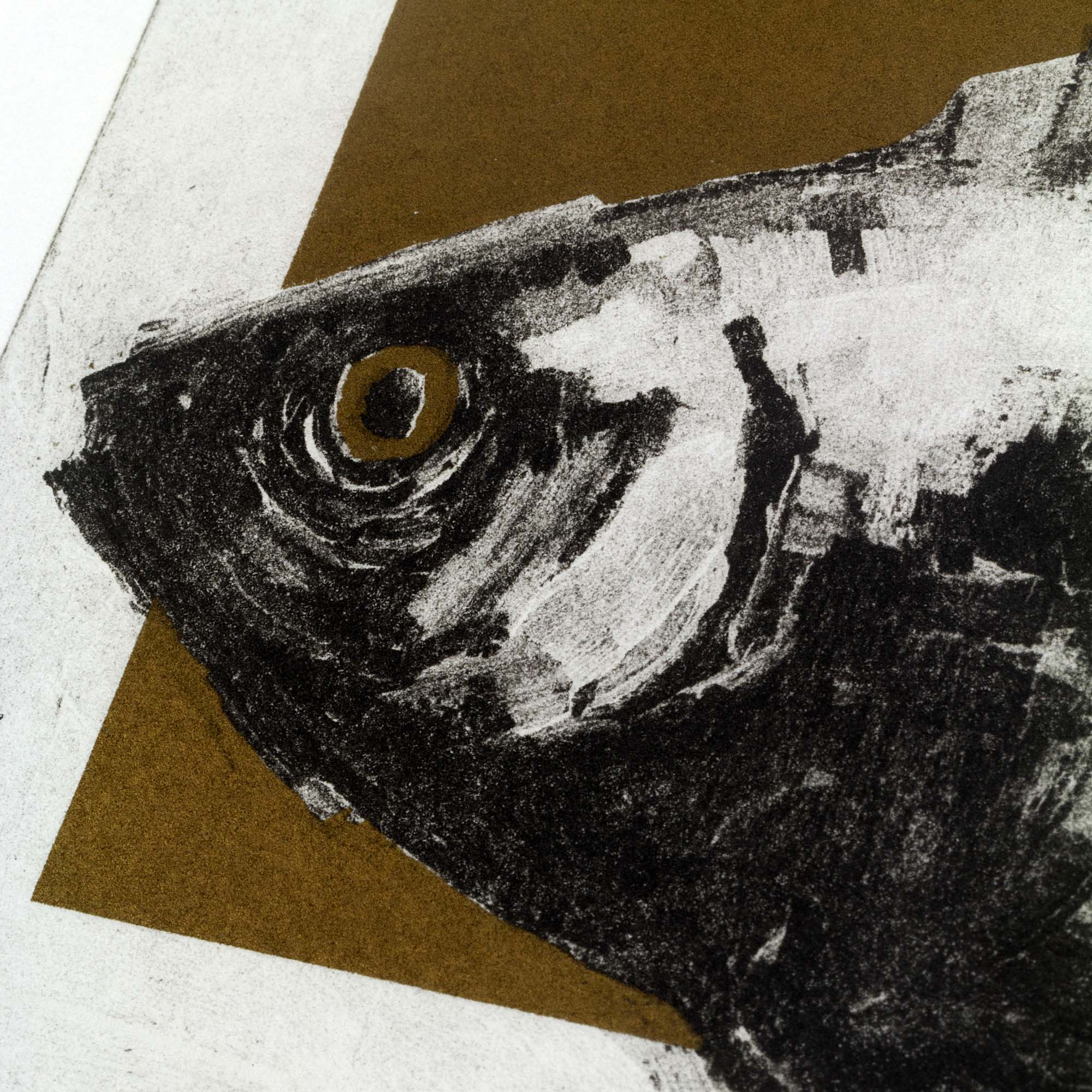 Gravure contemporaine "The Goldfish" sur papier d'art blanc, représentant un poisson texturé en noir et blanc devant un rectangle marron, signée et numérotée "10/10" au crayon dans la marge inférieure.
