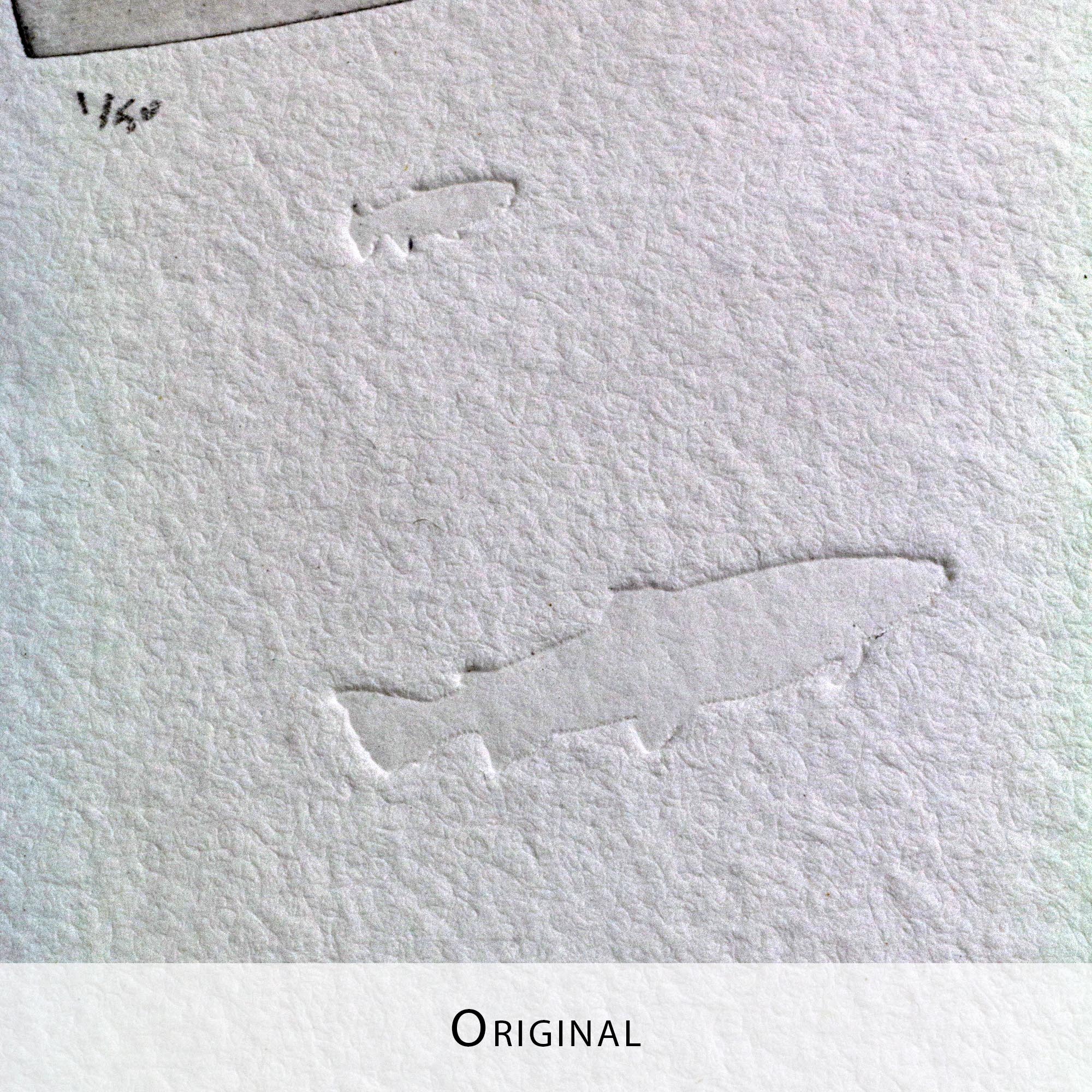 Gravure originale The Kingfisher par Clément Scarpi, estampe noire et blanche martin-pêcheur pour décoration murale