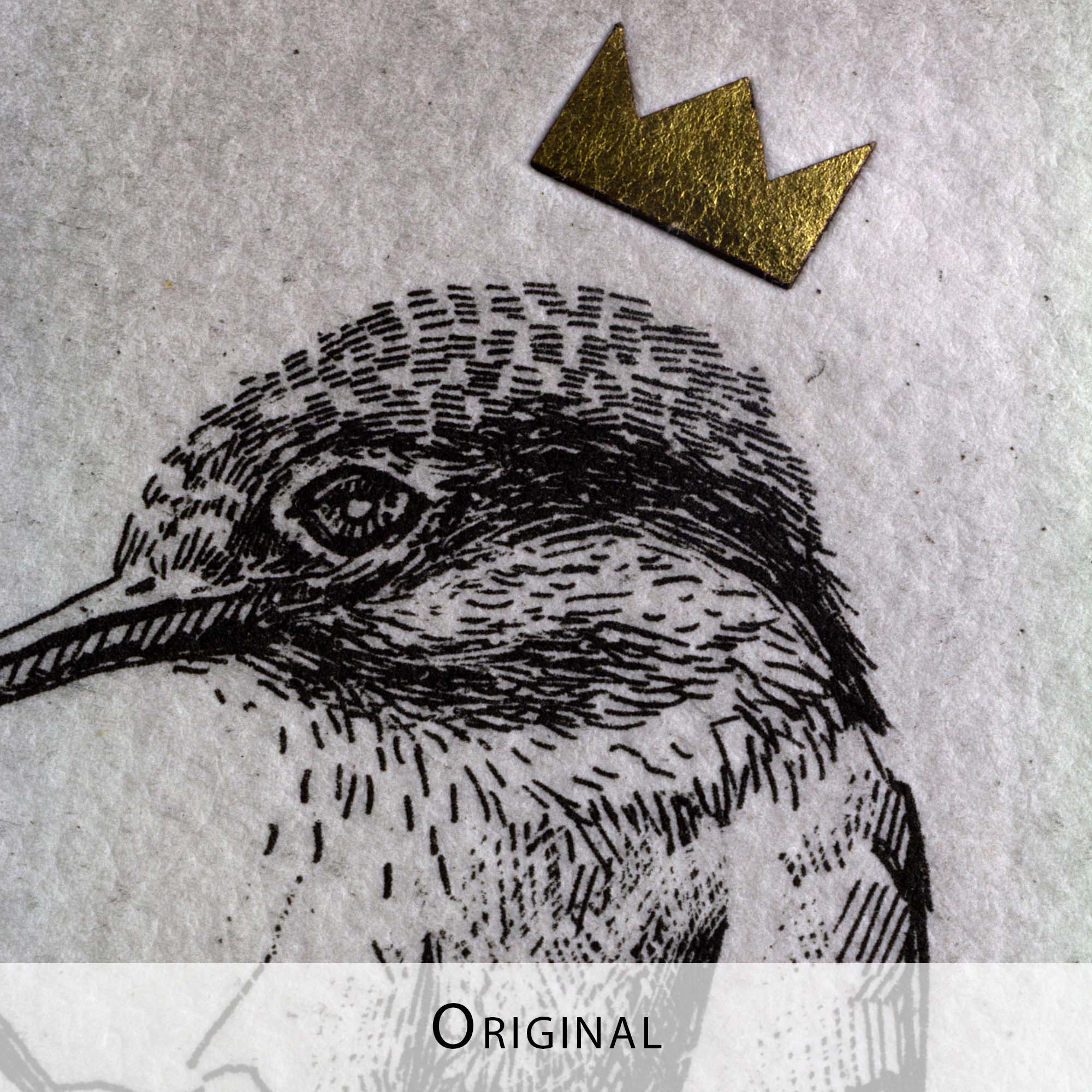 Gravure originale en noir et blanc intitulée "The King Fisher", représentant un martin-pêcheur, présentée dans un cadre en bois clair et exposé dans un intérieur lumineux au style épuré.