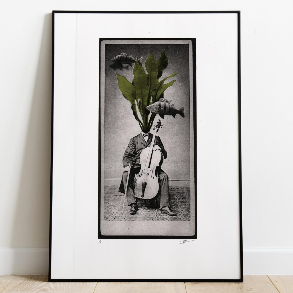 Gravure originale surréaliste The Perch de Clément Scarpi. Estampe d'art contemporaine en noir et blanc représentant un musicien violoncelliste assis avec son instrument, surmonté d'une plante verte à larges feuilles (Echinodorus) à la place de la tête et entouré de deux poissons (perches), imprimée sur papier d'art à bords frangés signé et numéroté.