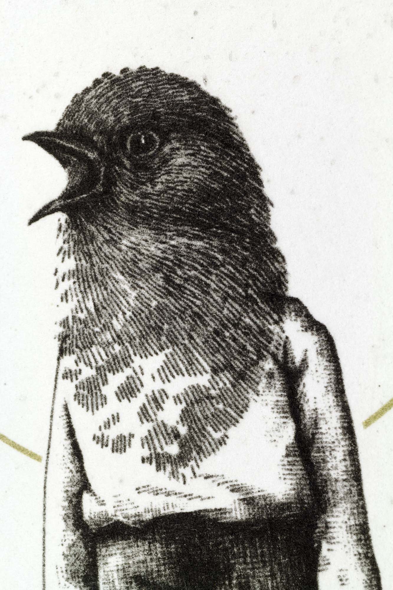 Gravure surréaliste "The Warbler" sur papier d'art à bords frangés, présentée dans un cadre noir fin avec passe-partout blanc, posée au sol sur un parquet clair contre un mur blanc.