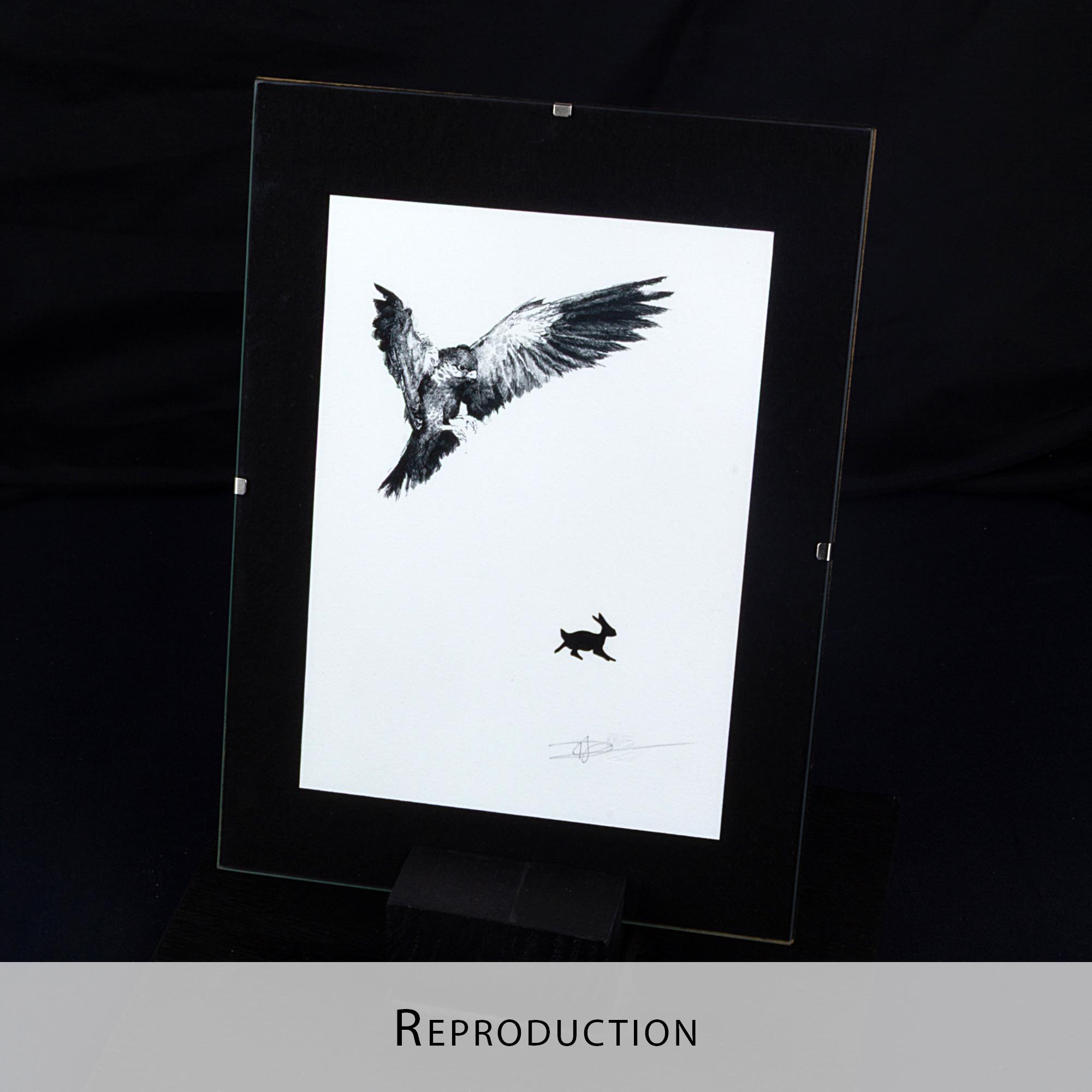 Gravure originale en noir et blanc représentant un oiseau de proie en plein vol, encadrée dans un cadre noir fin et posée sur un sol en bois clair contre un mur blanc.