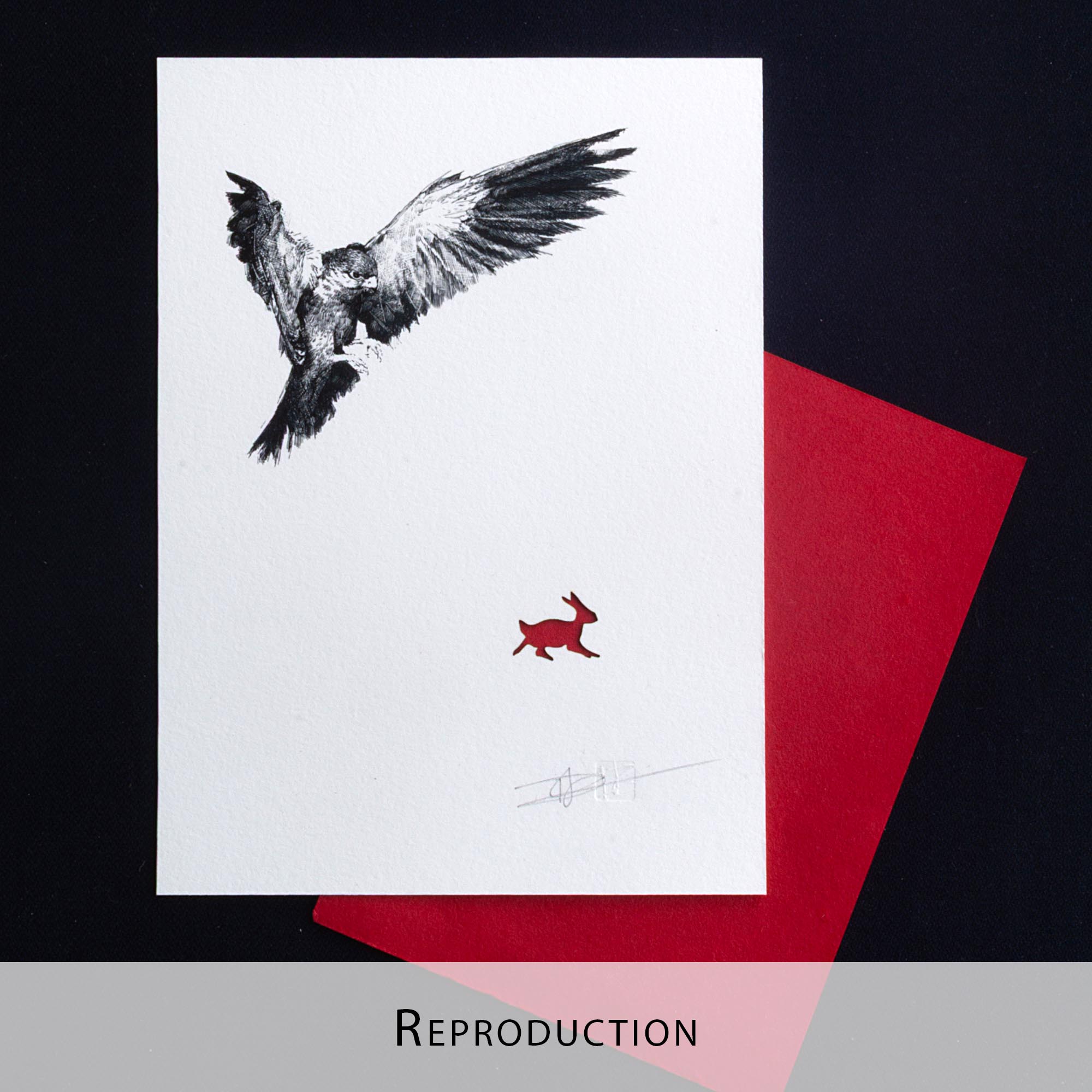 Gravure originale en noir et blanc représentant un oiseau de proie en plein vol, encadrée dans un cadre noir fin et posée sur un sol en bois clair contre un mur blanc.