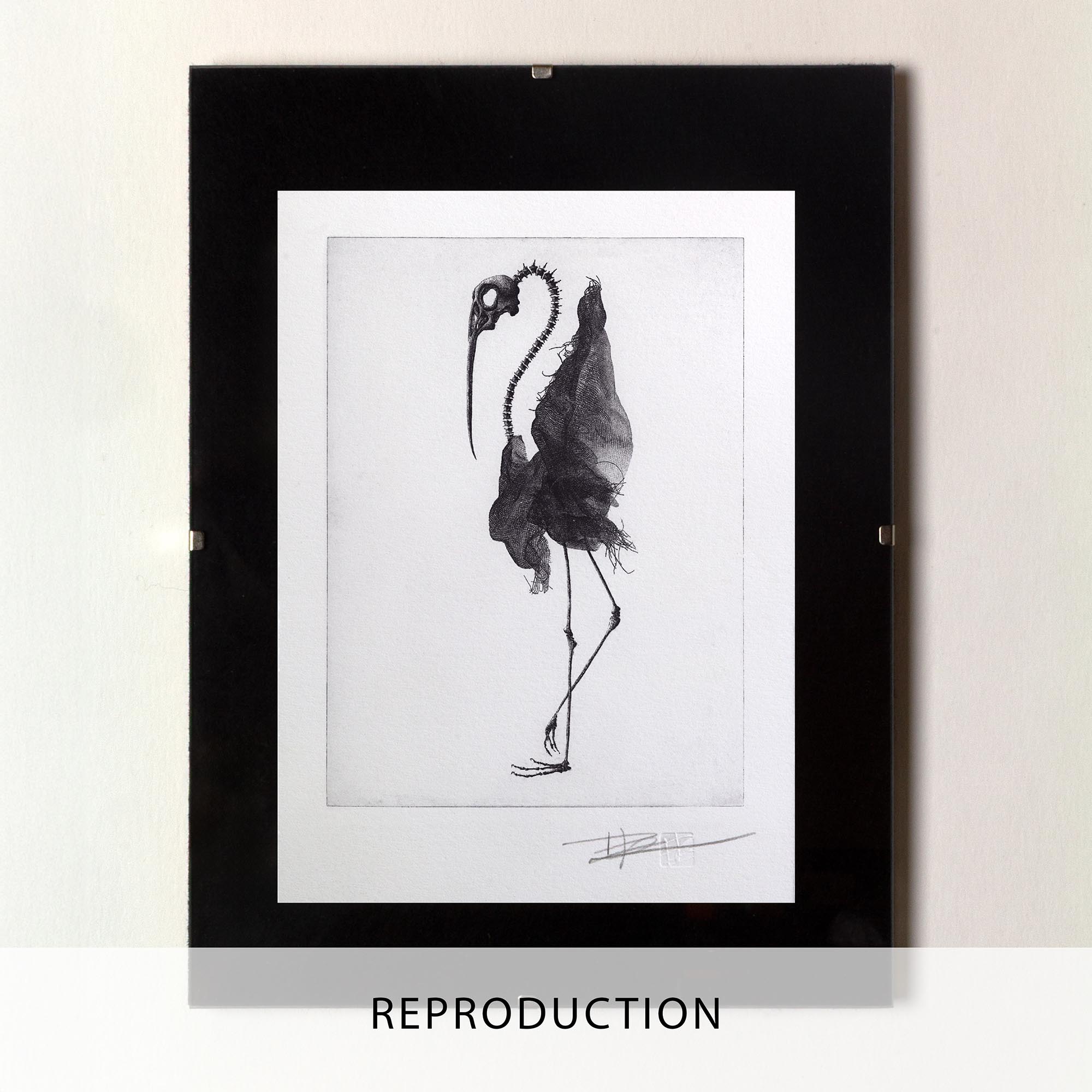 Impression d'art en noir et blanc Bird skull II de l'artiste Clément Scarpi représentant une silhouette d'oiseau hybride avec un crâne détaillé, de longues pattes et un plumage texturé.