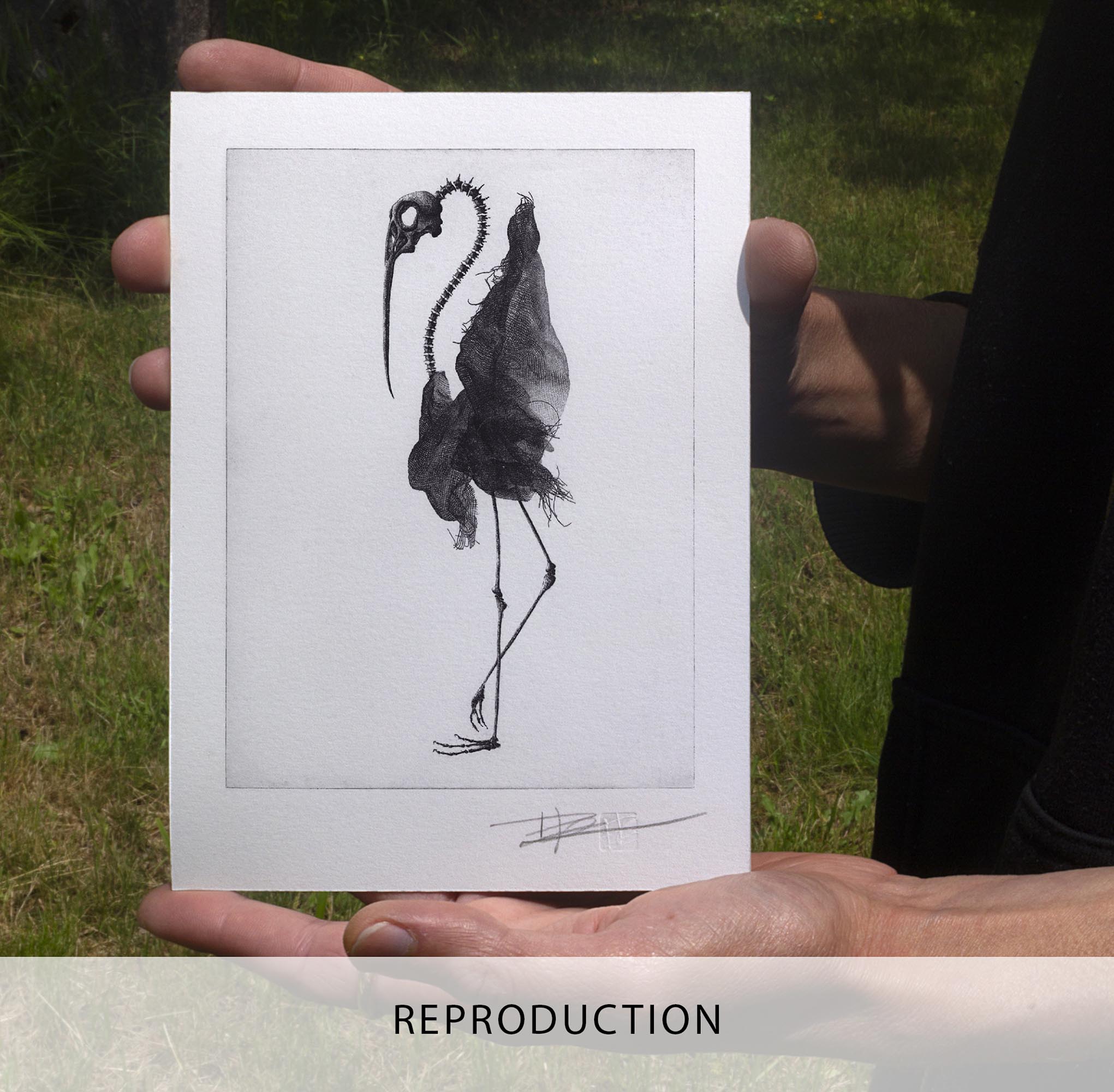 Impression d'art en noir et blanc Bird skull II de l'artiste Clément Scarpi représentant une silhouette d'oiseau hybride avec un crâne détaillé, de longues pattes et un plumage texturé.