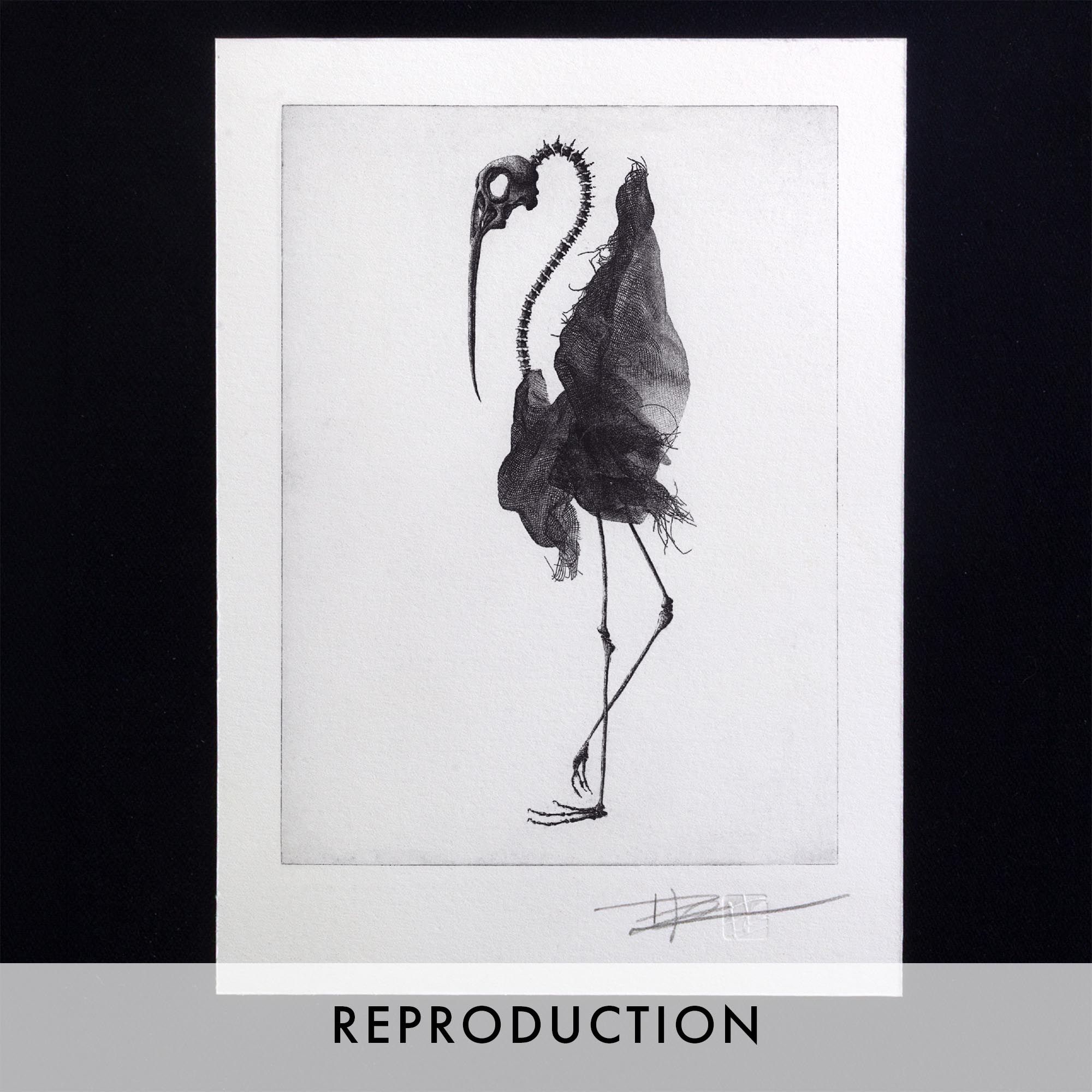 Impression d'art en noir et blanc Bird skull II de l'artiste Clément Scarpi représentant une silhouette d'oiseau hybride avec un crâne détaillé, de longues pattes et un plumage texturé.