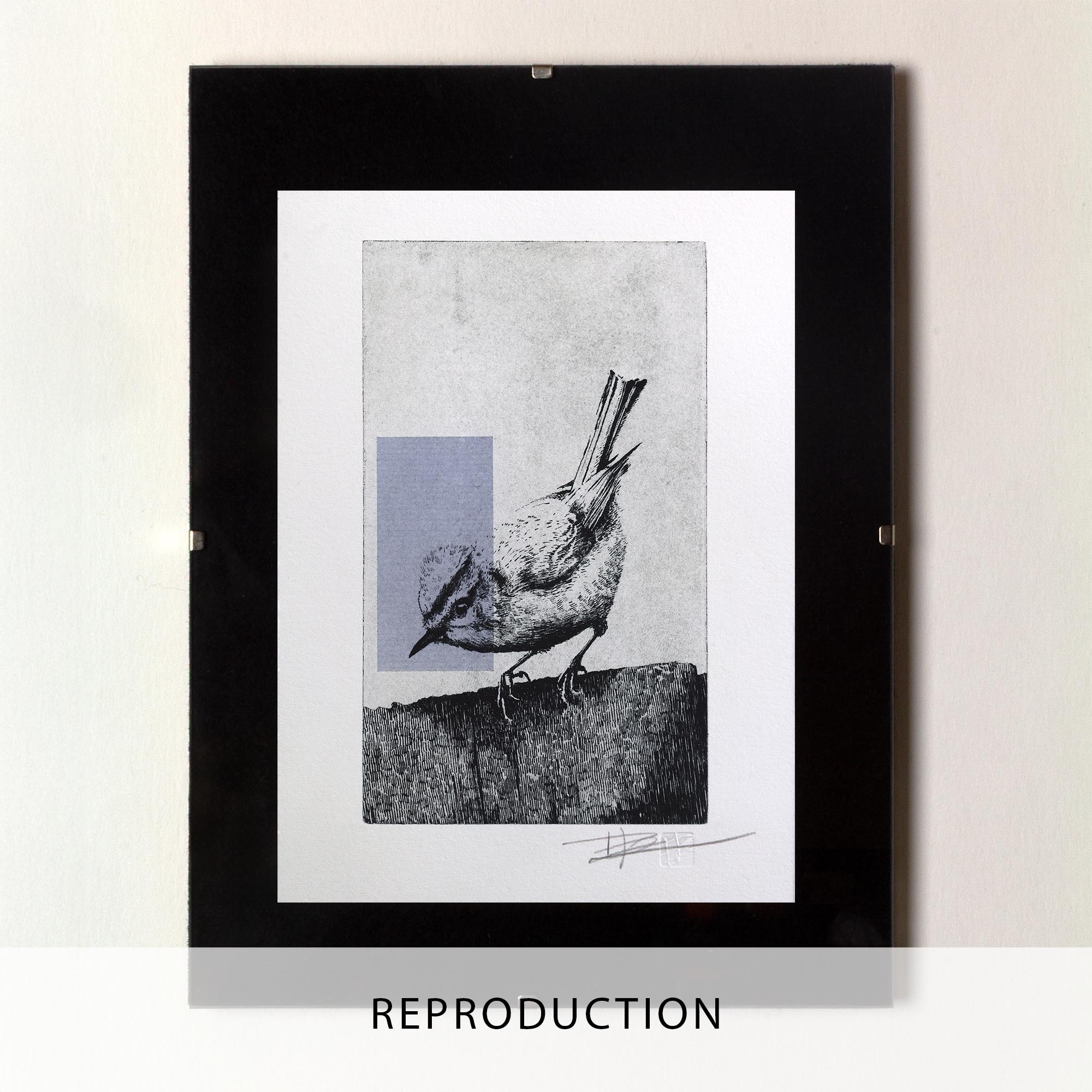 Gravure originale The Firecrest par Clément Scarpi, estampe contemporaine roitelet huppé noir et blanc avec touche géométrique violette.