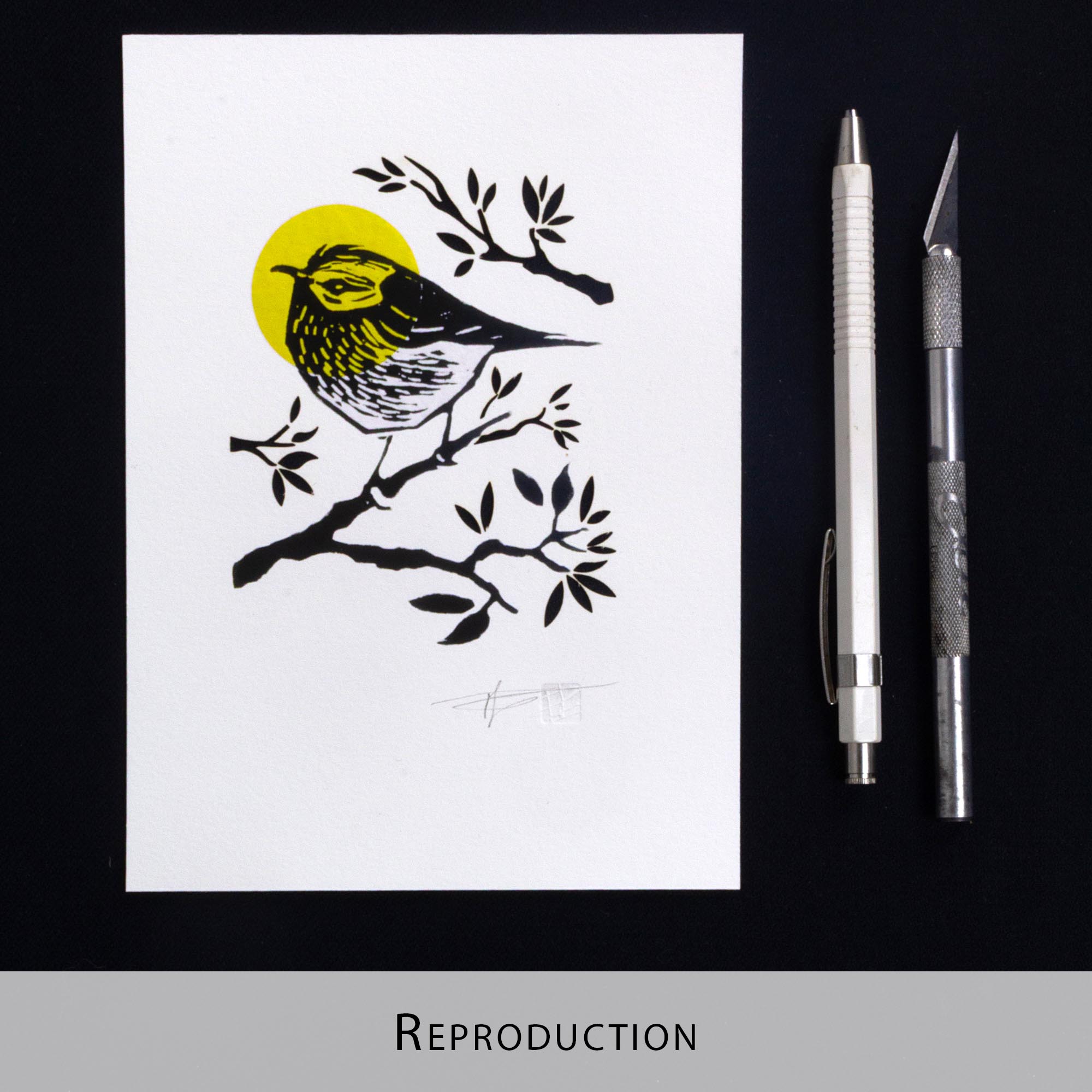 Gravure "Golden Crown Kinglet" sur papier d'art blanc épais et texturé à bords frangés, présentée dans un cadre noir texturé, posée sur un parquet en bois clair contre un mur blanc.