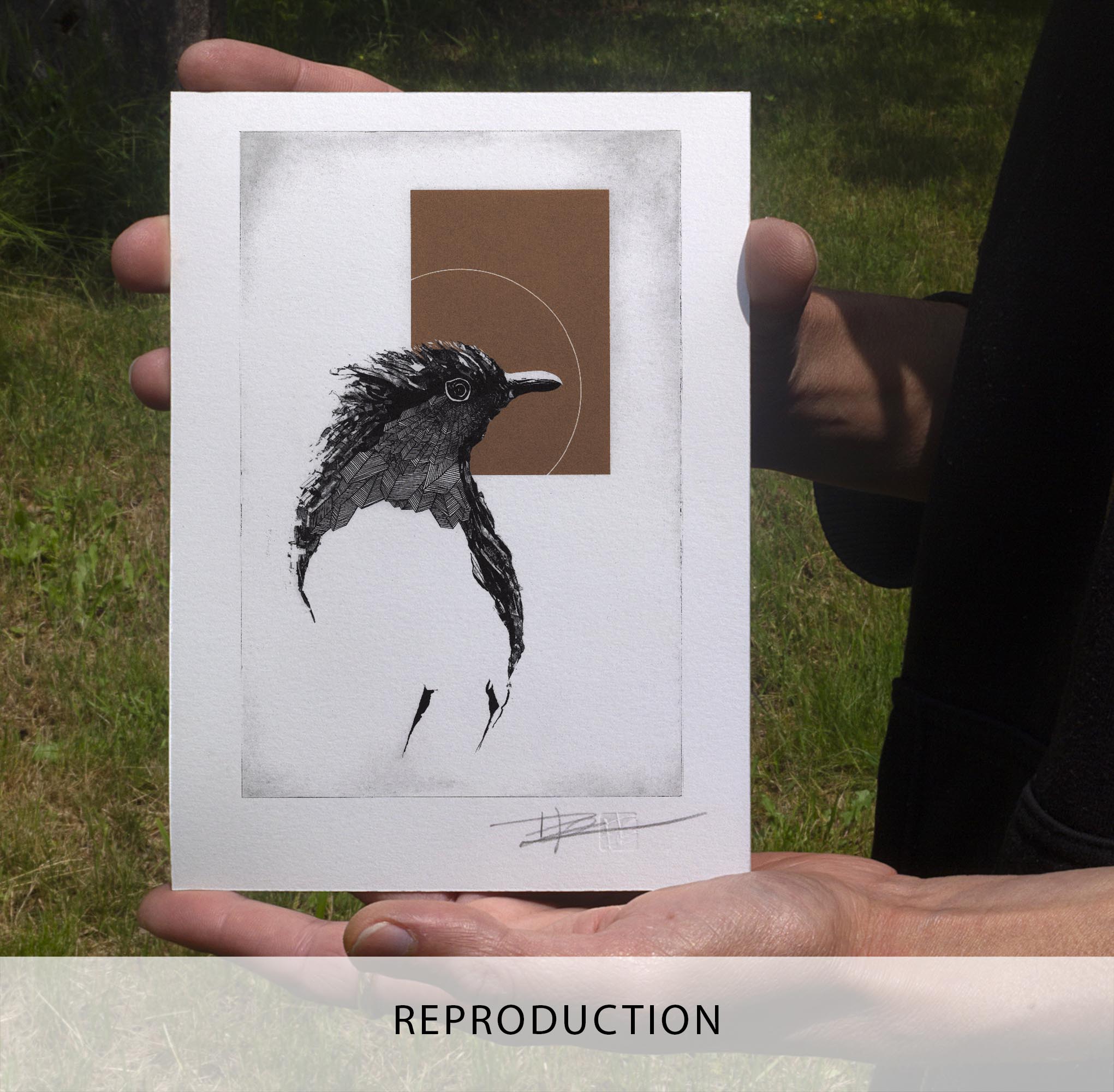 Gravure originale intitulée The Red Robin par l'artiste Clément Scarpi, représentant de profil le buste stylisé d'un oiseau noir aux plumes texturées, surmonté d'un rectangle marron brique et d'une fine ligne circulaire blanche, présentée sous cadre noir.