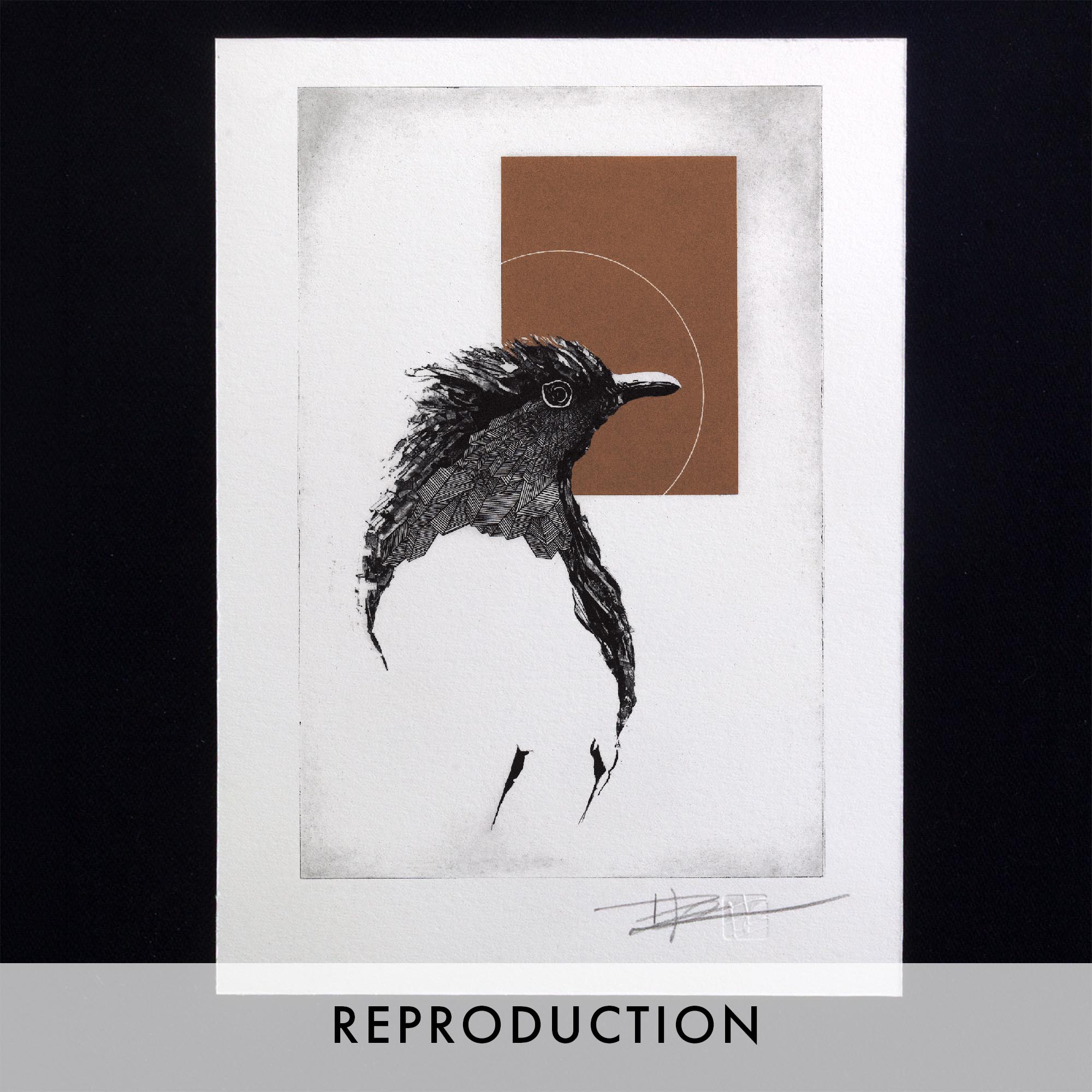 Gravure originale intitulée The Red Robin par l'artiste Clément Scarpi, représentant de profil le buste stylisé d'un oiseau noir aux plumes texturées, surmonté d'un rectangle marron brique et d'une fine ligne circulaire blanche, présentée sous cadre noir.