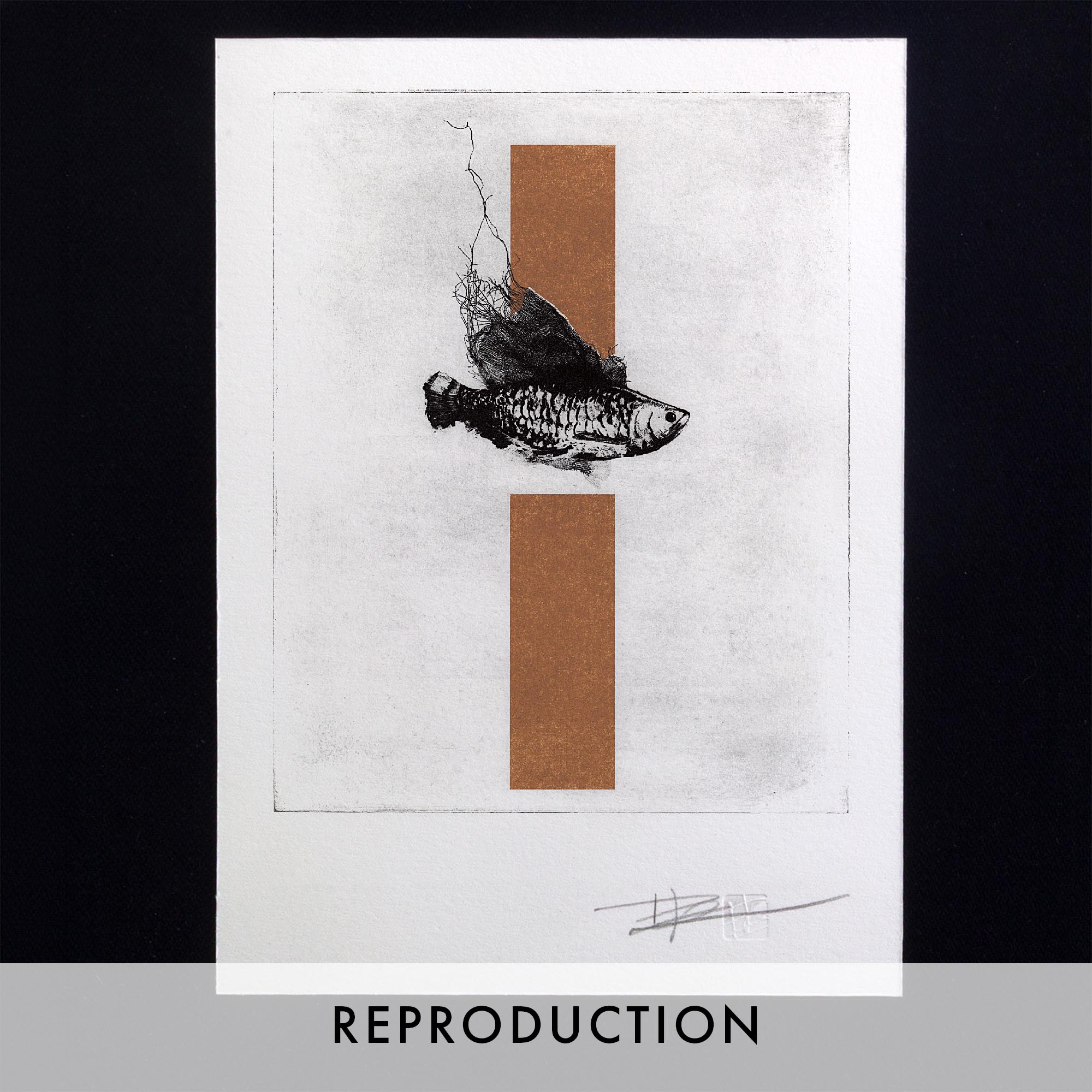 Gravure originale d'art contemporain The Fish de Clément Scarpi. Estampe d'art en noir et blanc représentant un poisson détaillé pris dans un filet, superposé sur deux rectangles dorés en arrière-plan (technique du chine-collé ou feuille d'or), présentée dans un cadre noir élégant.