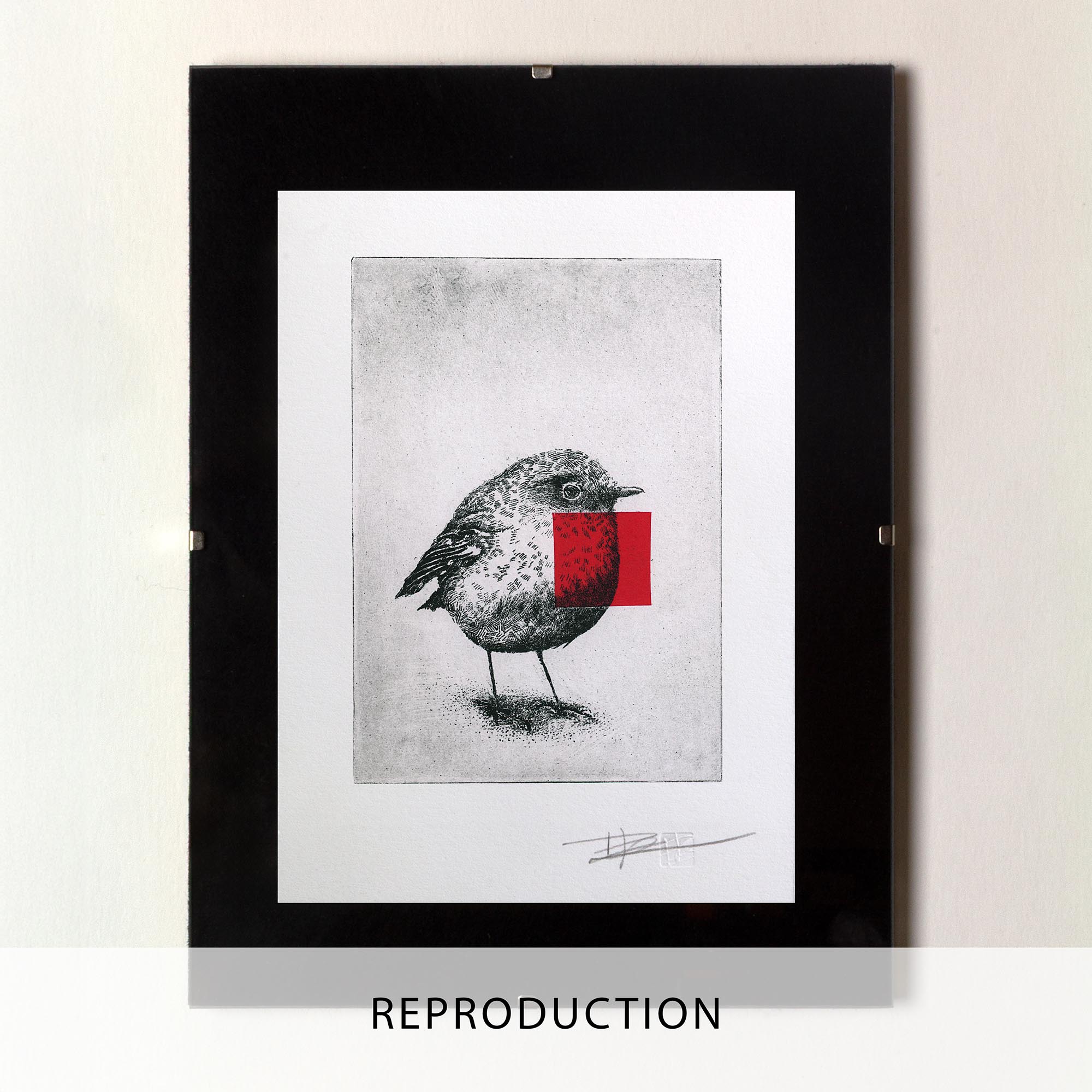 Gravure originale d'art contemporain Red Robin de Clément Scarpi. Estampe d'art en noir et blanc représentant un oiseau rouge-gorge détaillé avec un carré rouge vif superposé sur sa poitrine (technique du chine-collé), numérotée et signée à la main, présentée dans un cadre noir minimaliste.