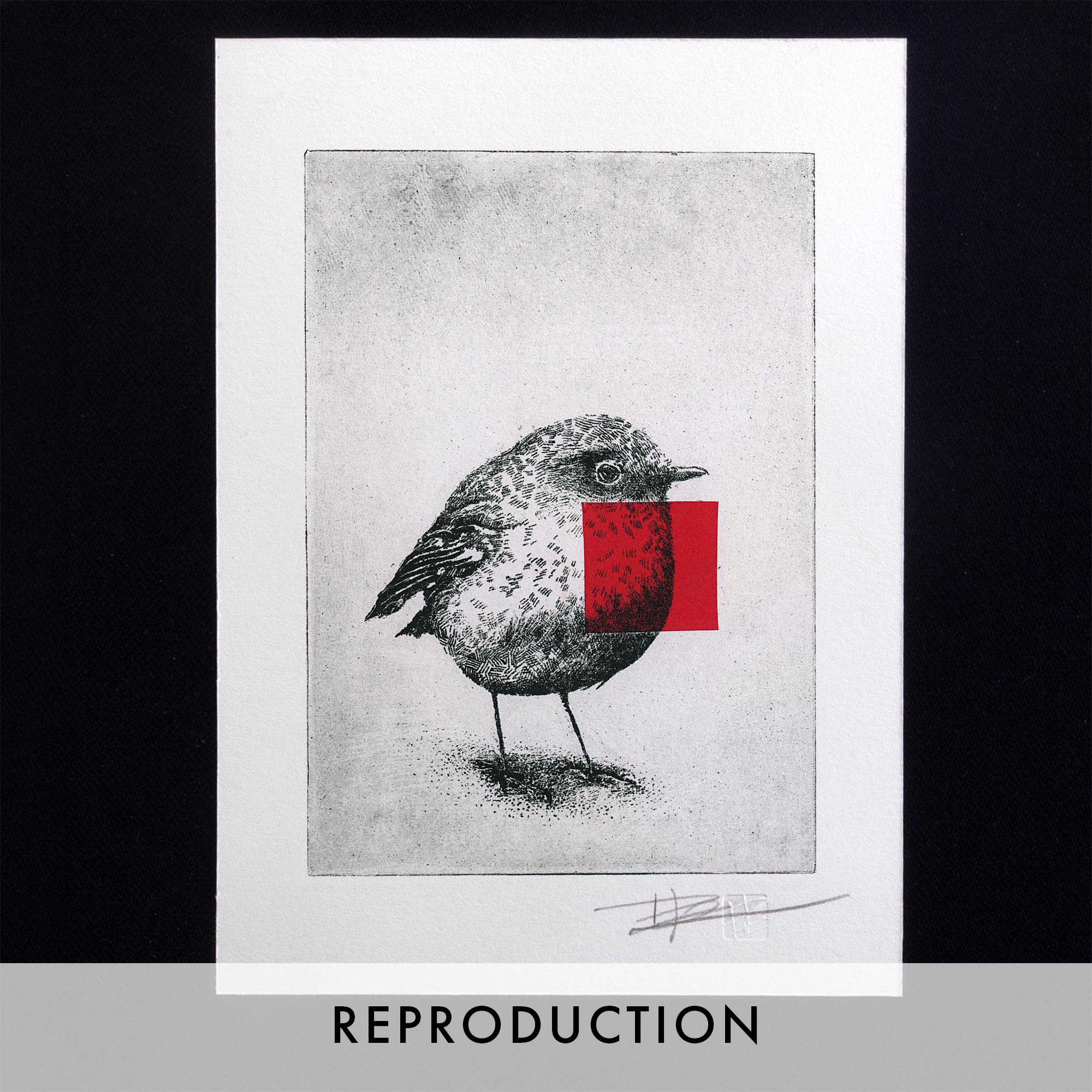 Gravure originale d'art contemporain Red Robin de Clément Scarpi. Estampe d'art en noir et blanc représentant un oiseau rouge-gorge détaillé avec un carré rouge vif superposé sur sa poitrine (technique du chine-collé), numérotée et signée à la main, présentée dans un cadre noir minimaliste.